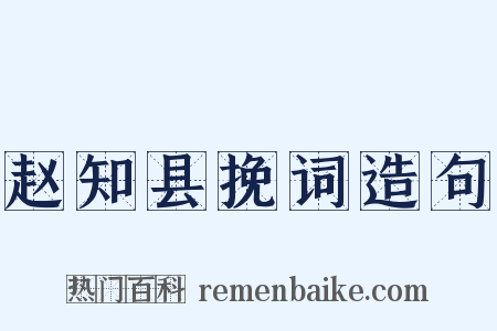 赵知县挽词造句是什么意思的图片